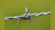 Coast Fence