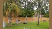 DWS Fencing