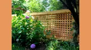 Lion's Fence